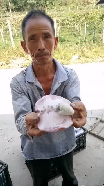 游民大叔吃瓜