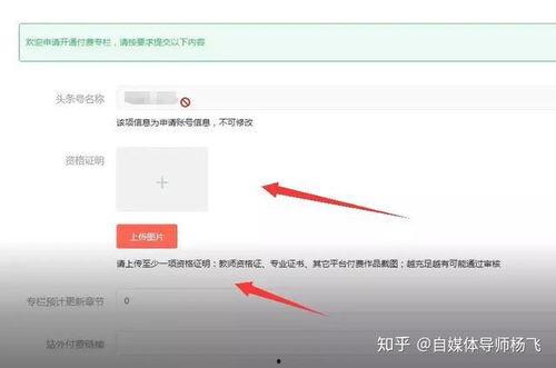 头条有专栏怎么赚钱,打造个人品牌，轻松实现月入过万