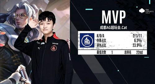 猫神头条,揭秘猫咪界的神秘力量与趣味瞬间