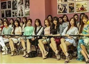 粉丝群网红,粉丝群中的璀璨星辰