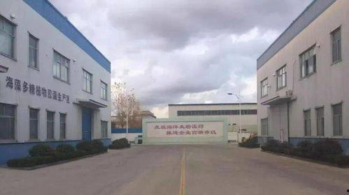 定远区最新头条,聚焦发展成果与民生改善