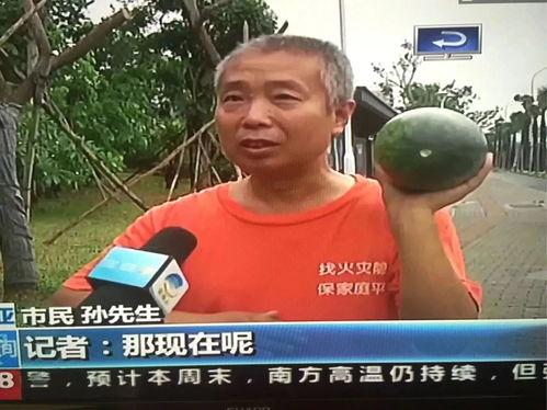 什么是南和吃瓜事件