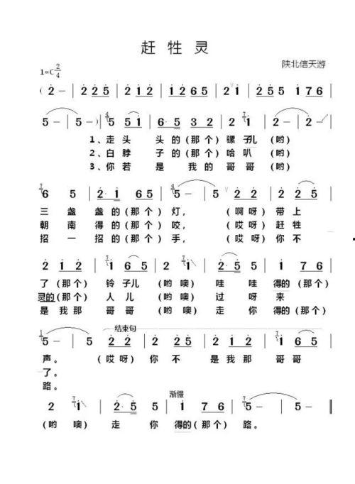 头条百科陕北民歌歌词,传承千年的黄土高原旋律