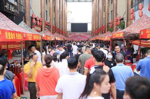 6月5日今日儋州头条,6月5日聚焦城市发展新动态与民生热点