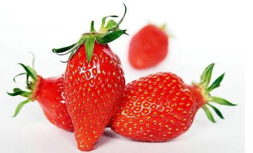 草莓热点爆料怎么做视频