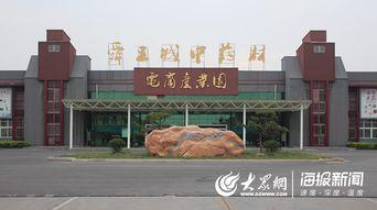 村网红孵化产业园,村网红孵化产业园创新实践纪实