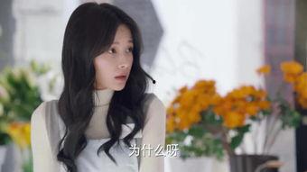 陆医生网红,从网红到医界新星的蜕变之路